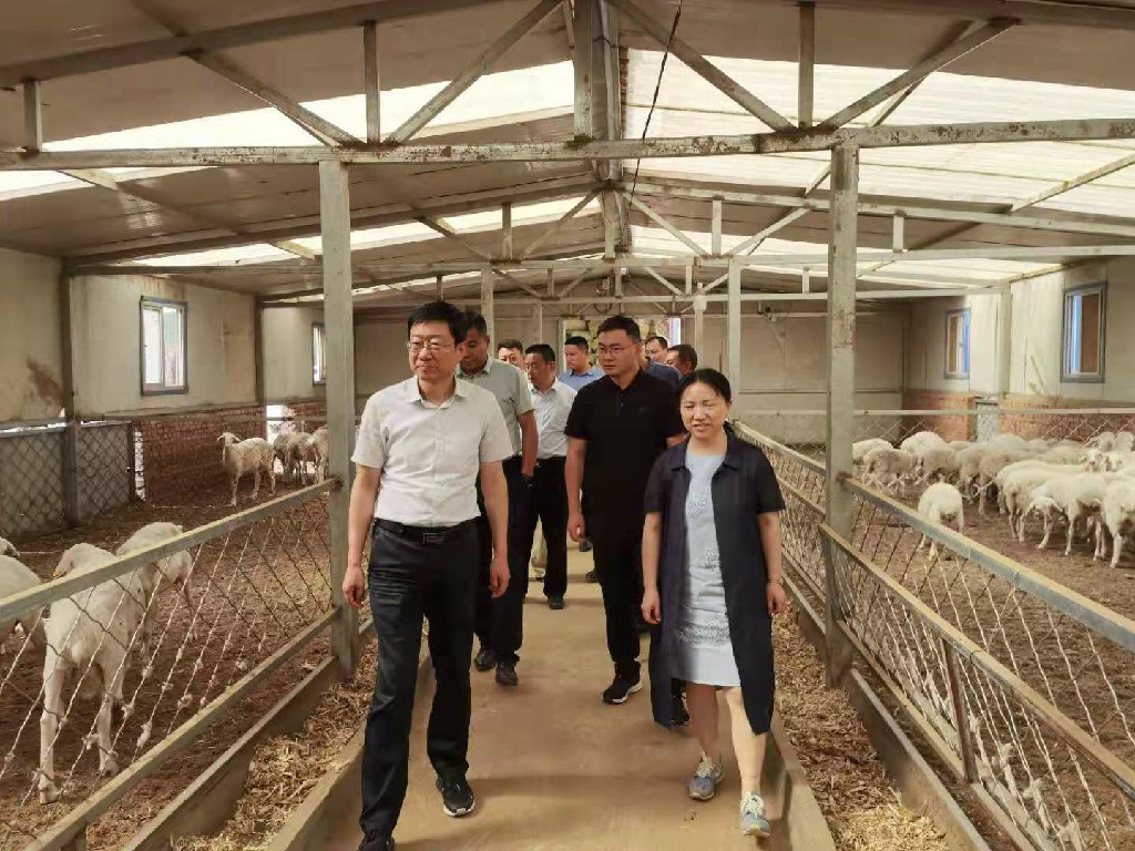 162513558355936422.jpg 162513558355936422.jpg